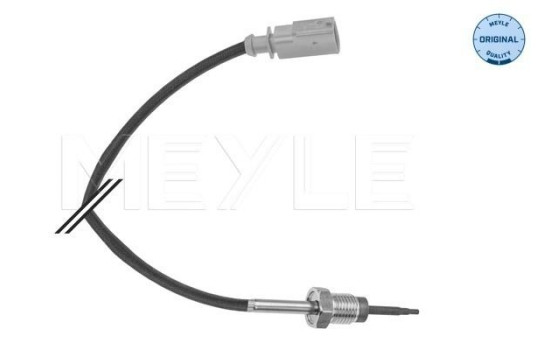 Sensor, exhaust gas temperature