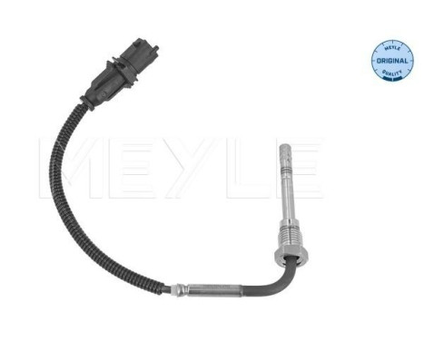 Sensor, exhaust gas temperature