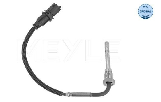 Sensor, exhaust gas temperature