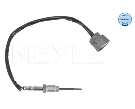 Sensor, exhaust gas temperature