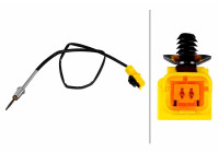 Sensor, exhaust gas temperature