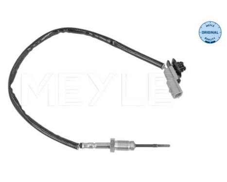 Sensor, exhaust gas temperature