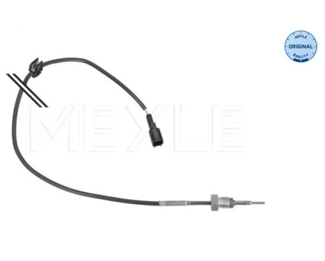 Sensor, exhaust gas temperature