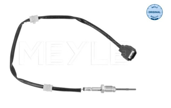 Sensor, exhaust gas temperature