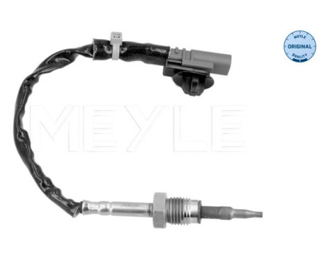 Sensor, exhaust gas temperature