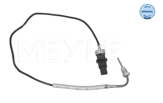 Sensor, exhaust gas temperature