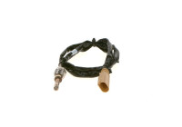 Sensor, exhaust gas temperature
