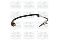 Sensor, exhaust gas temperature