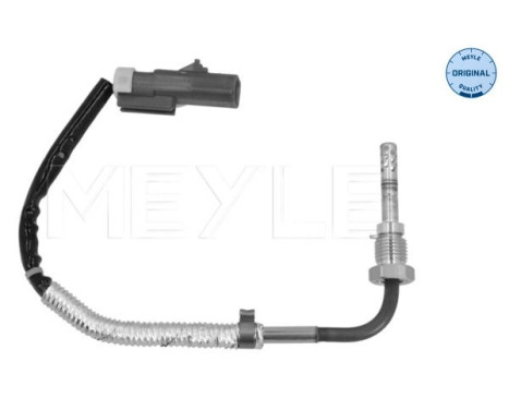 Sensor, exhaust gas temperature