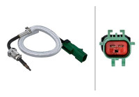 Sensor, exhaust gas temperature