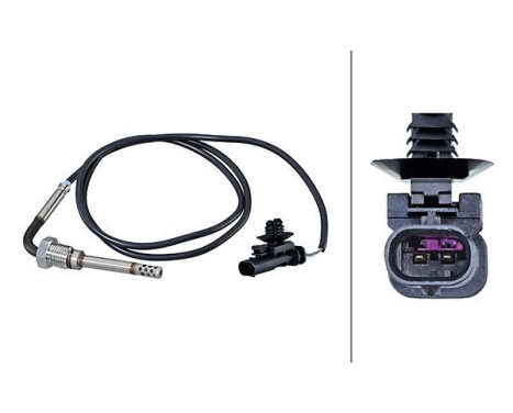 Sensor, exhaust gas temperature