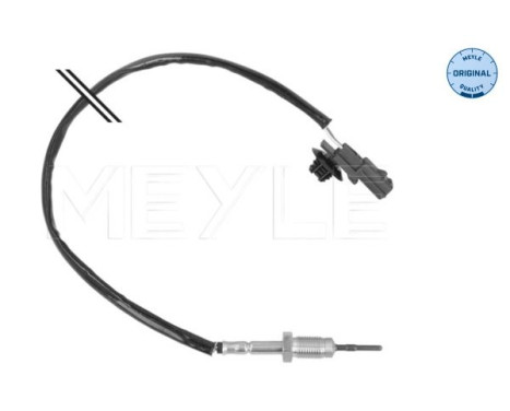 Sensor, exhaust gas temperature