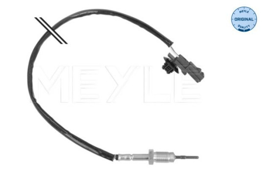 Sensor, exhaust gas temperature