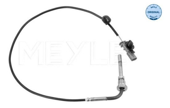 Sensor, exhaust gas temperature