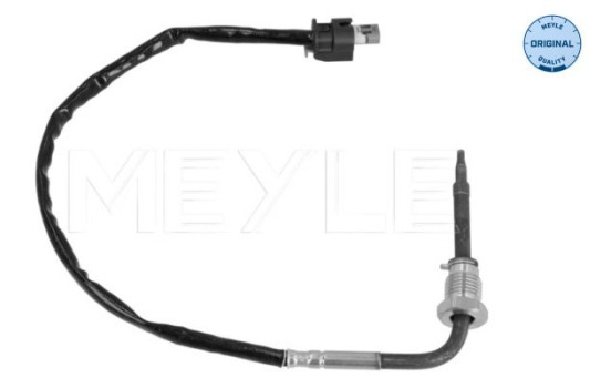Sensor, exhaust gas temperature