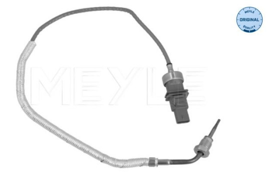 Sensor, exhaust gas temperature