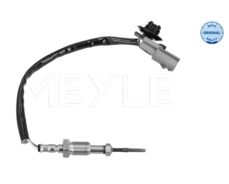 Sensor, exhaust gas temperature