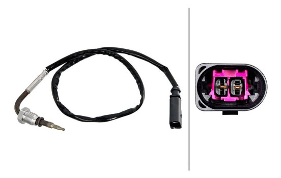 Sensor, exhaust gas temperature