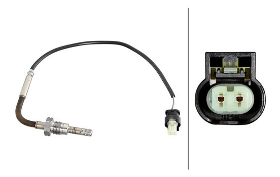 Sensor, exhaust gas temperature