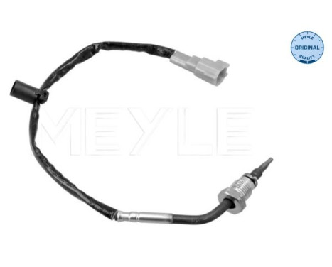 Sensor, exhaust gas temperature