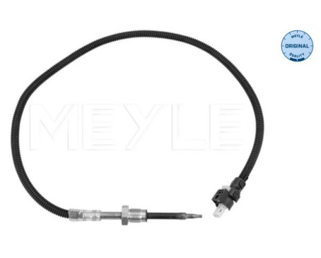 Sensor, exhaust gas temperature