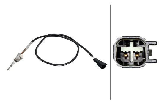 Sensor, exhaust gas temperature