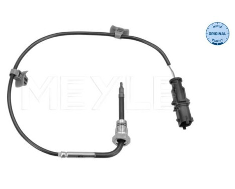 Sensor, exhaust gas temperature