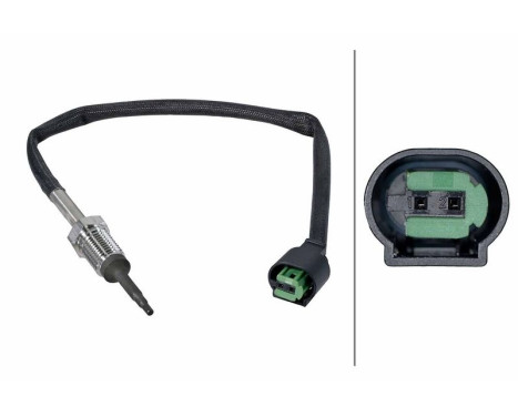 Sensor, exhaust gas temperature