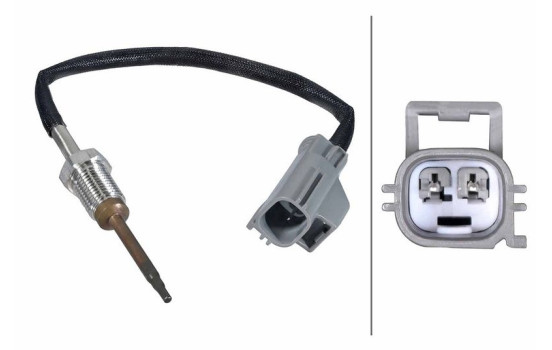 Sensor, exhaust gas temperature