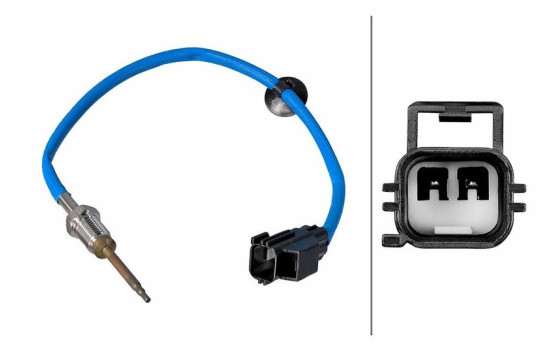 Sensor, exhaust gas temperature