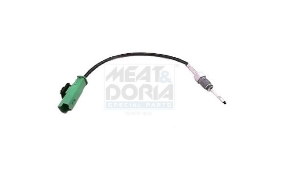 Sensor, exhaust gas temperature