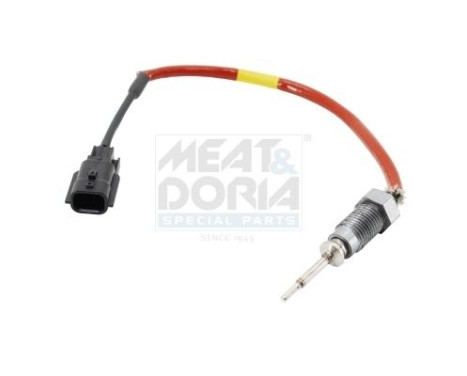 Sensor, exhaust gas temperature