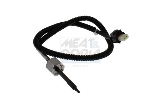 Sensor, exhaust gas temperature