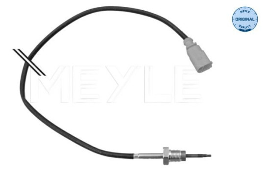 Sensor, exhaust gas temperature