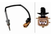 Sensor, exhaust gas temperature