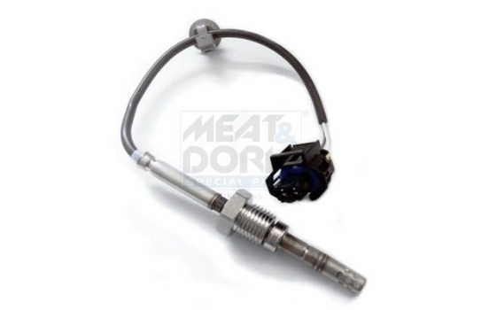 Sensor, exhaust gas temperature