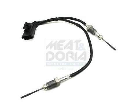 Sensor, exhaust gas temperature