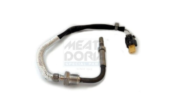 Sensor, exhaust gas temperature