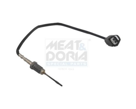 Sensor, exhaust gas temperature