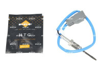 Sensor, exhaust gas temperature