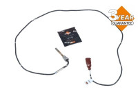 Sensor, exhaust gas temperature