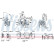 Accelerator Pump, carburettor, Thumbnail 6