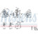 Accelerator Pump, carburettor, Thumbnail 6