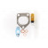 Accelerator Pump, carburettor, Thumbnail 2