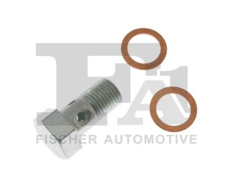 Banjo bolt, turbocharger