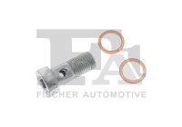 Banjo bolt, turbocharger