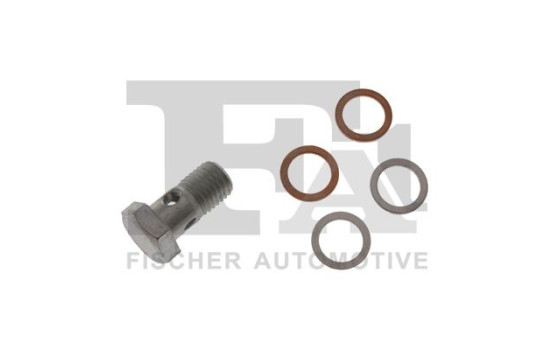 Banjo bolt, turbocharger