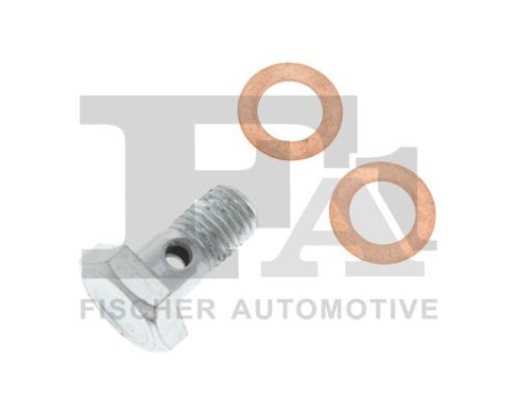 Banjo bolt, turbocharger