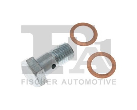 Banjo bolt, turbocharger
