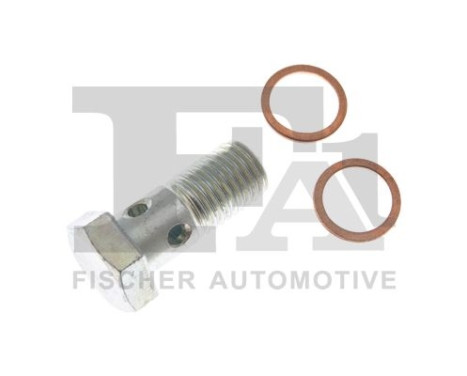 Banjo bolt, turbocharger